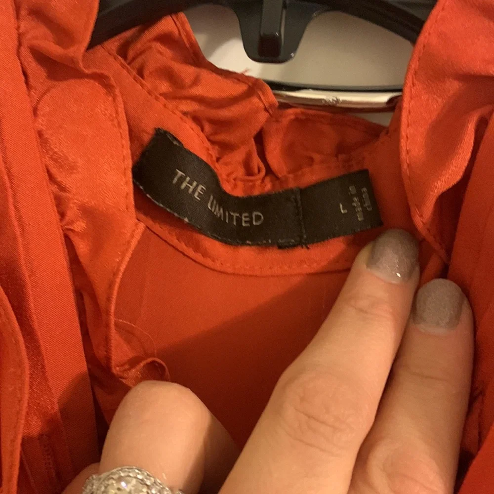 The Limited Ruffle Blouse - Picture 3 of 5